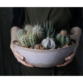 Колючий микс в лодке 