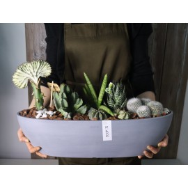 Большая лодка с кактусами