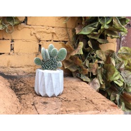 Опунция “медиум” в бетоне