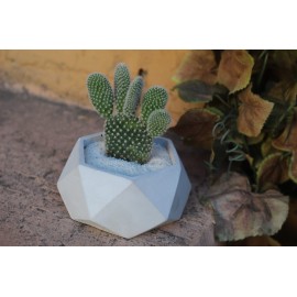 Зайчик в бетоне 