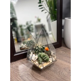 Нетипичный подарок 