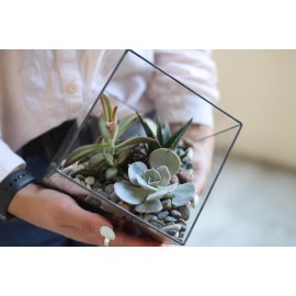 Домик с любимками 