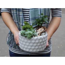 Сады Пекина