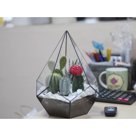 Брутальный флорариум 