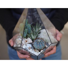 Мой любимый сад 