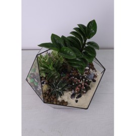 Необычное сочетиаеп