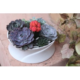 Такие вот экземпляры