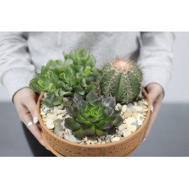 Три больших красавчика 