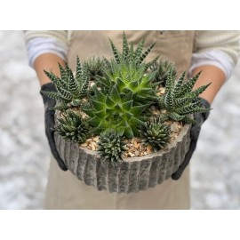 Колкий намек