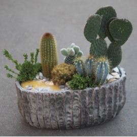 Корабль мечты 