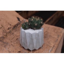 Оригинал в бетоне