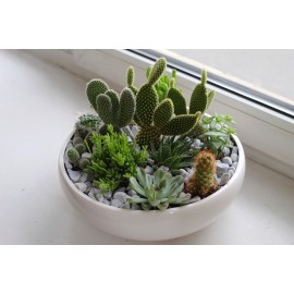 Стильная коллекция