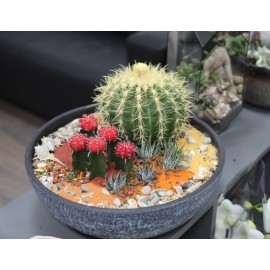 Гигантский яркий сад