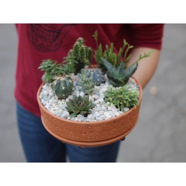 Стильные колючки 