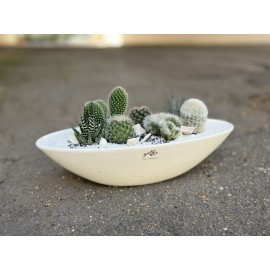 Судно с колючими друзьями 