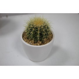 Грузончик в кашпо 