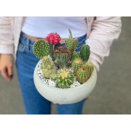 Круглый садик