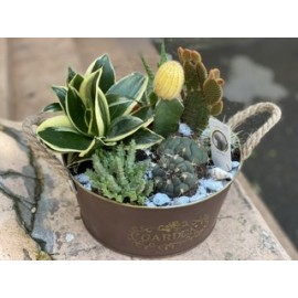 Джунгли зовут!