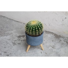 Грузони на ножках 