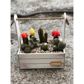 Забота и внимание!