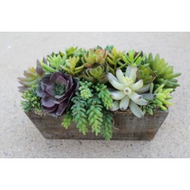 Коробочка с любимцами