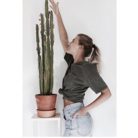 Малочай высота 100 см.