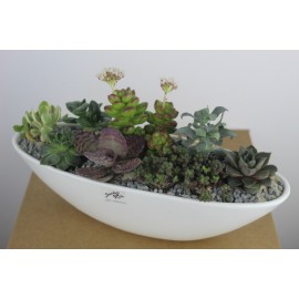 Милые красавцы 