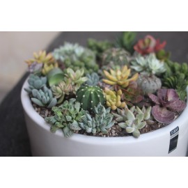 Эксклюзивное кашпо