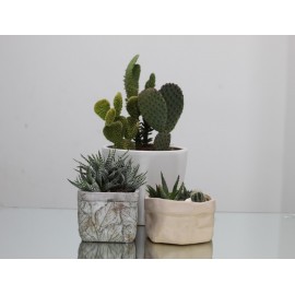 Блистательная тройка