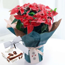 Новогодняя романтика