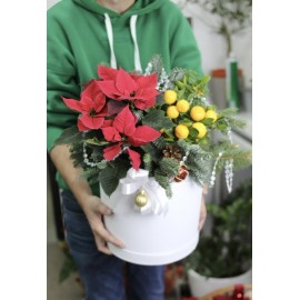 Новогодний сет