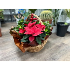 Новогодняя корзина с цитрусами 