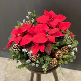 Новогодний сюрприз 