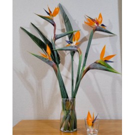 Ваза с 5-ю стрелициями